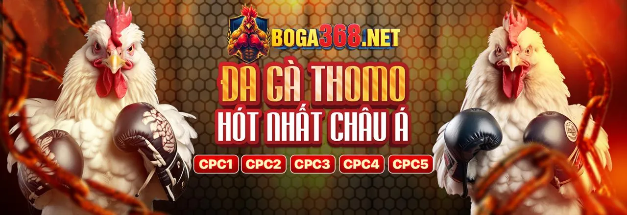 Tin tức vn123 info 2026