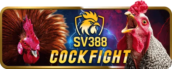 Cá cược Thể Thao vn123 info